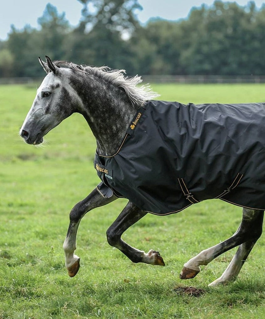 BUCAS HORSE TURNOUT RUG IRISH TURNOUT 50