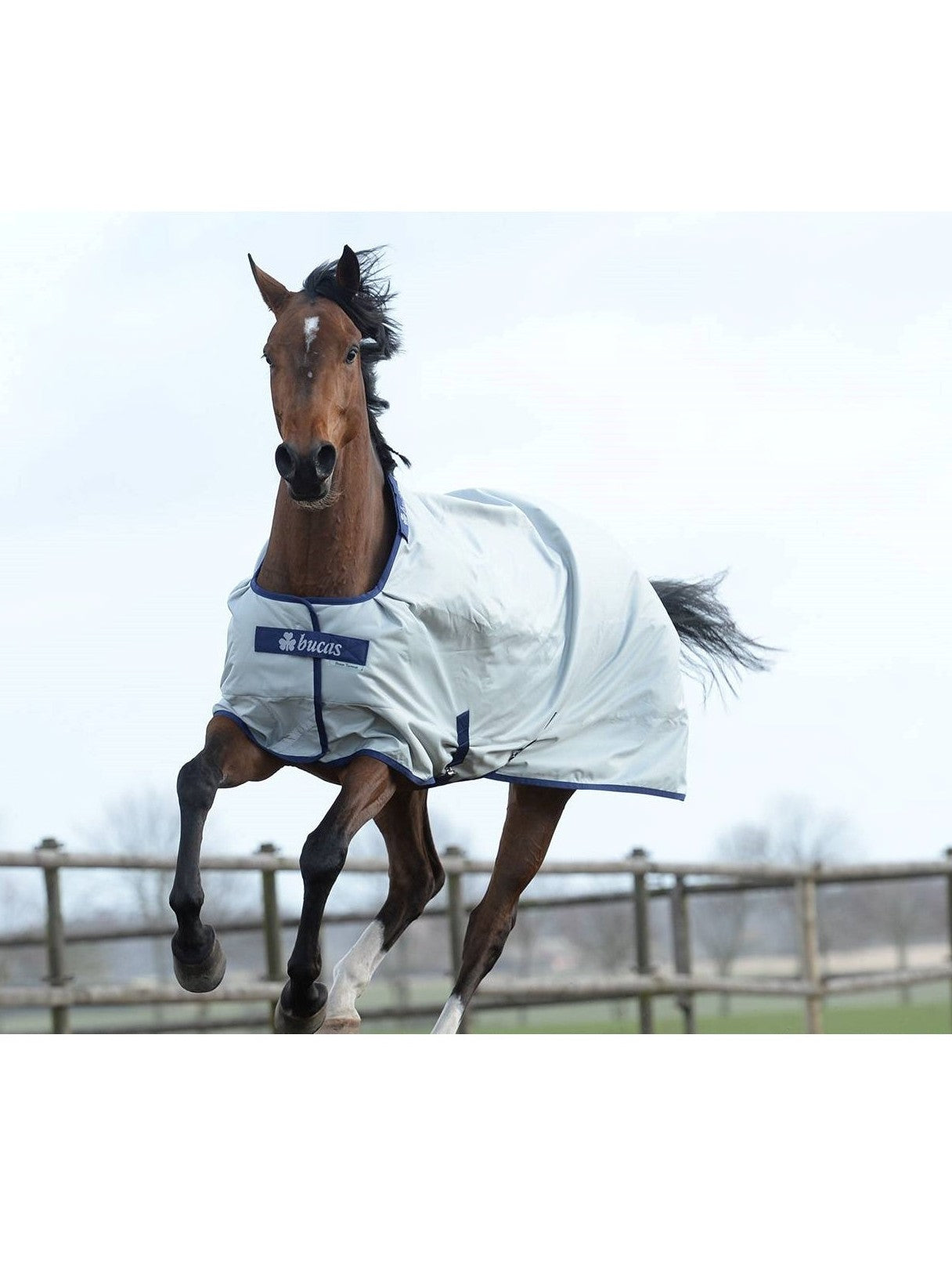 BUCAS HORSE TURNOUT RUG POWER TURNOUT LIGHT 0