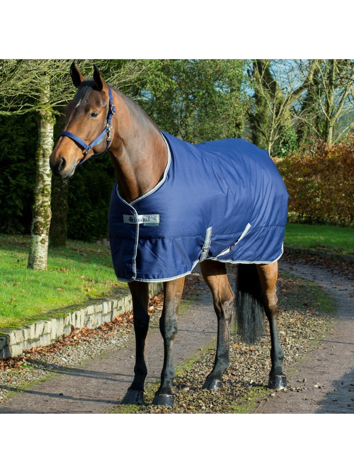 BUCAS FREEDOM STABLE 150 HORSE STABLE RUG