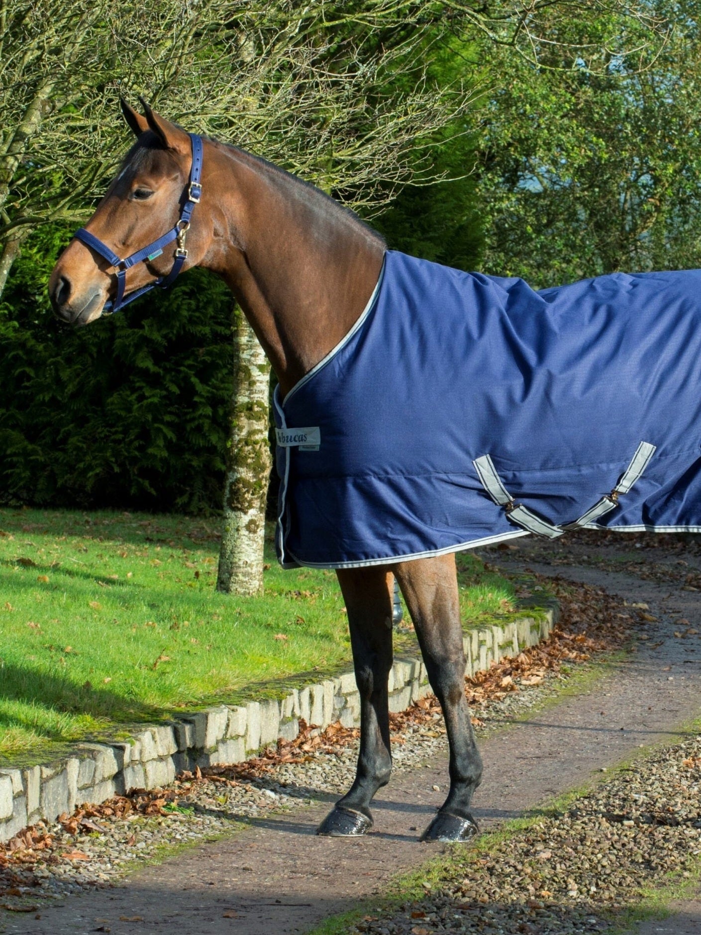 BUCAS FREEDOM STABLE 300 HORSE RUG