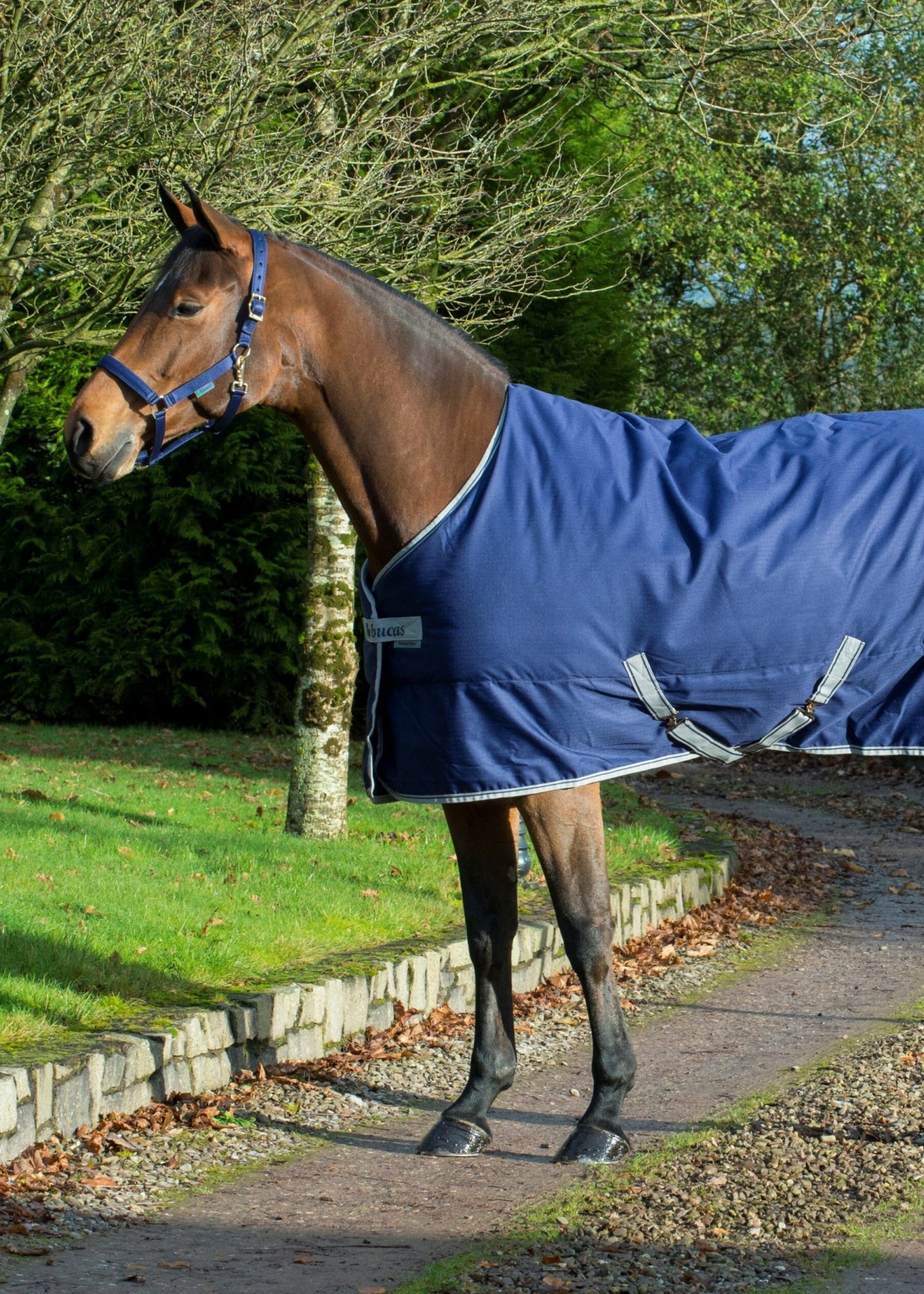 BUCAS FREEDOM STABLE 300 DERKA STAJENNA DLA KONIA