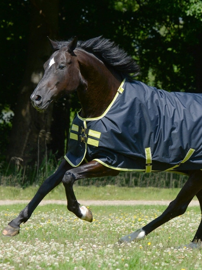 BUCAS OASIS TURNOUT 100 HORSE RUG WITH NECK SET