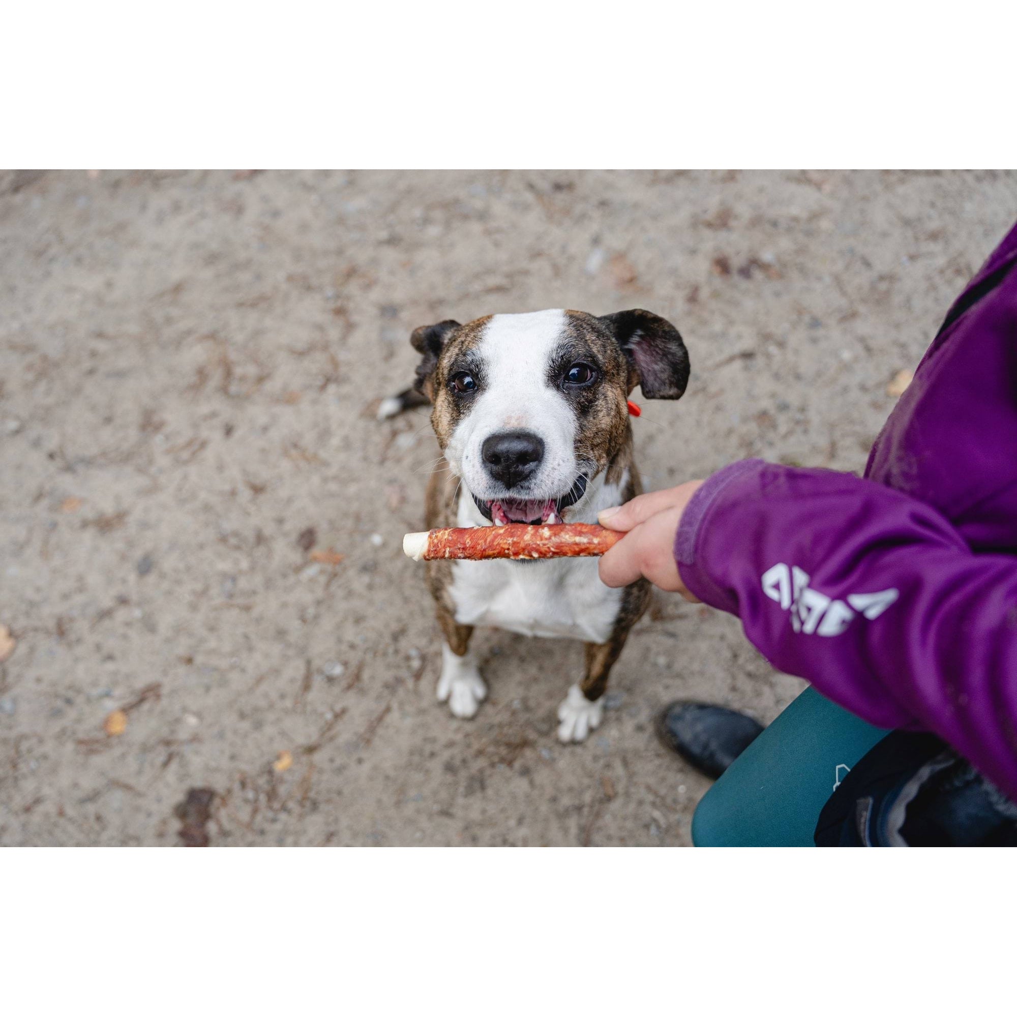 CAN AGRI DOG TREAT BEEF SKIN STICK WITH DUCK