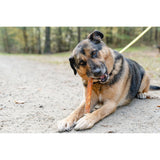 CAN AGRI PRZYSMAK DLA PSA PATYK ZE SKÓRY WOŁOWEJ Z KURCZAKIEM