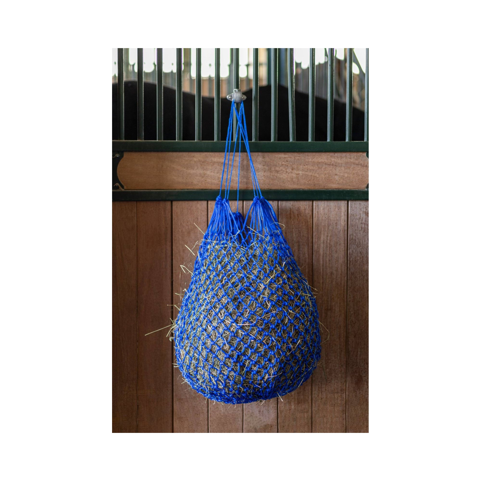 COVALLIERO SIATKA NA SIANO NOVA BEZ PIERŚCIENI NIEBIESKA OCZKO 3 CM