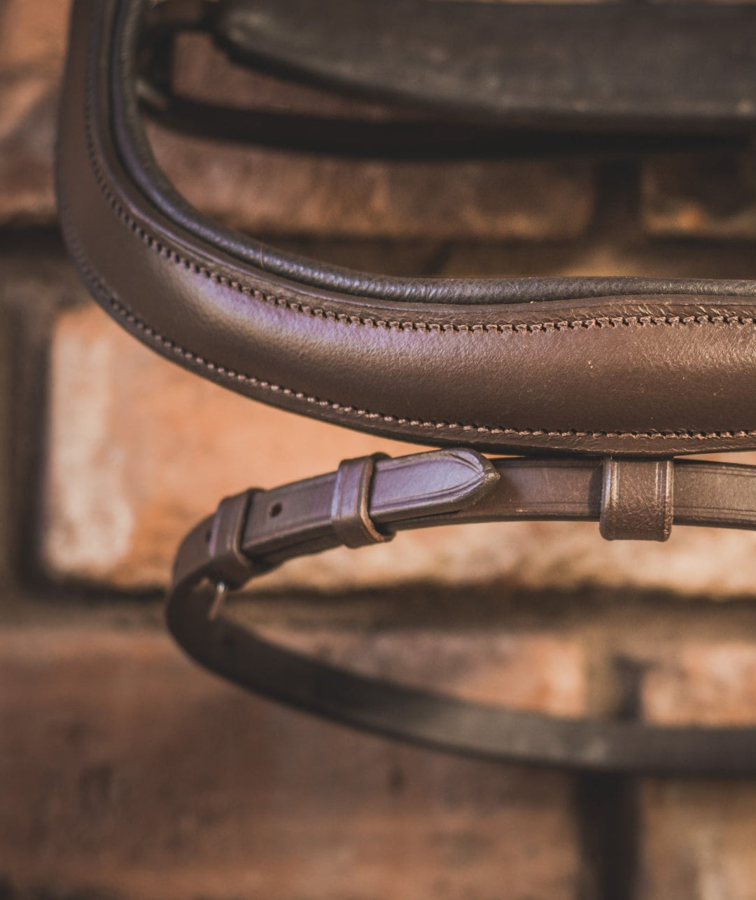 EQUISHOP TEAM OGŁOWIE ANATOMICZNE DLA KONIA