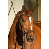 EQUISHOP TEAM OGŁOWIE ANATOMICZNE DLA KONIA