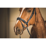 EQUISHOP TEAM OGŁOWIE DLA KONIA CLASSIC