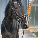 EQUISHOP TEAM OGŁOWIE JEŹDZIECKIE CRYSTAL SHINE