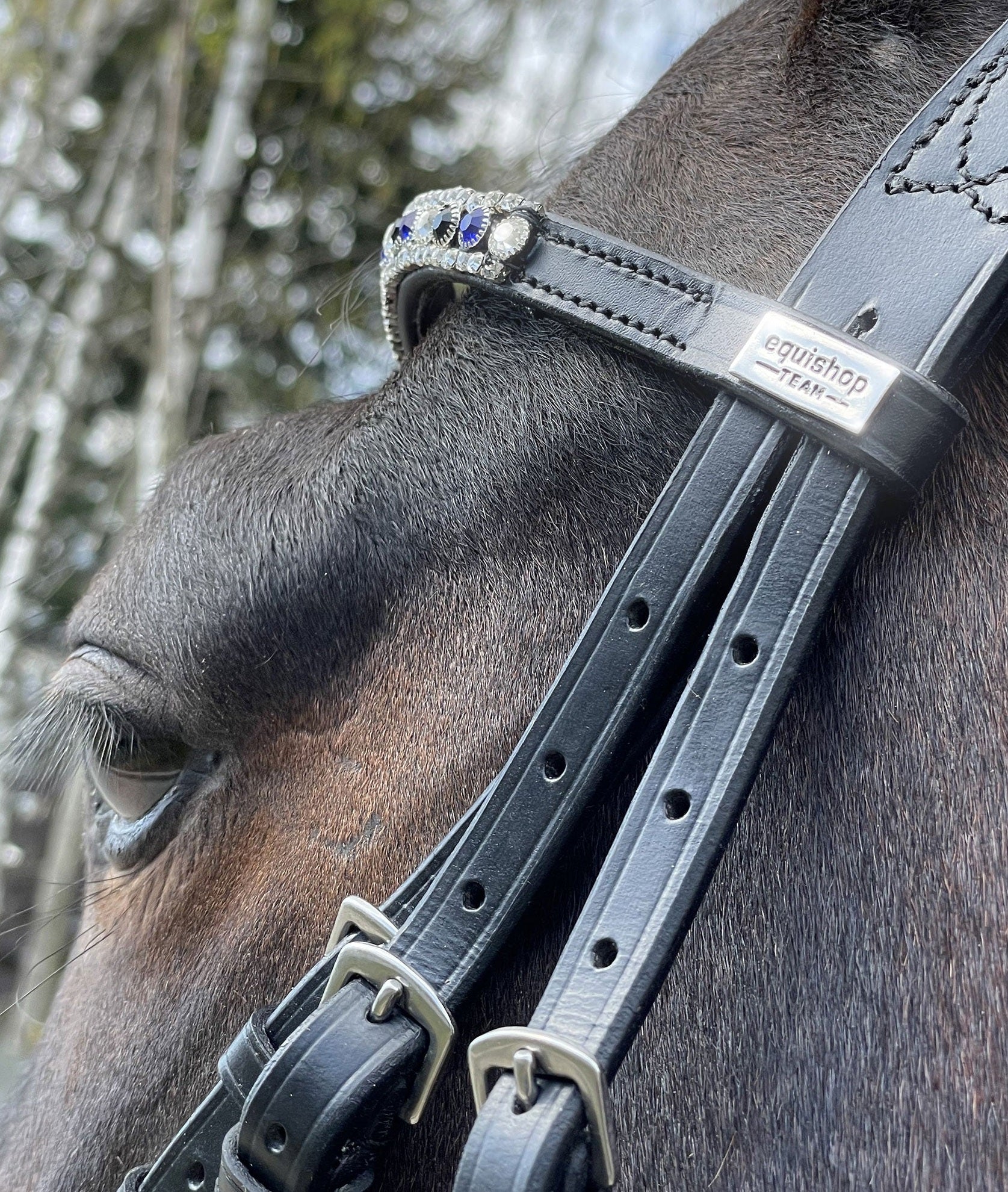 EQUISHOP TEAM OGŁOWIE JEŹDZIECKIE CRYSTAL SHINE