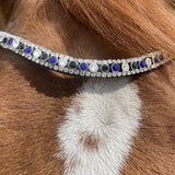 EQUISHOP TEAM OGŁOWIE JEŹDZIECKIE CRYSTAL SHINE