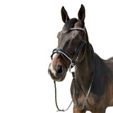 EQUISHOP TEAM OGŁOWIE JEŹDZIECKIE CRYSTAL SHINE