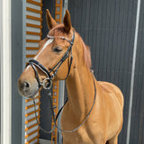 EQUISHOP TEAM OGŁOWIE JEŹDZIECKIE CRYSTAL SHINE