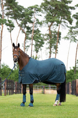 ESKADRON WATERPROOF LIGHT PADDOOR RUG FOR HORSE CLASSIC SPORTS