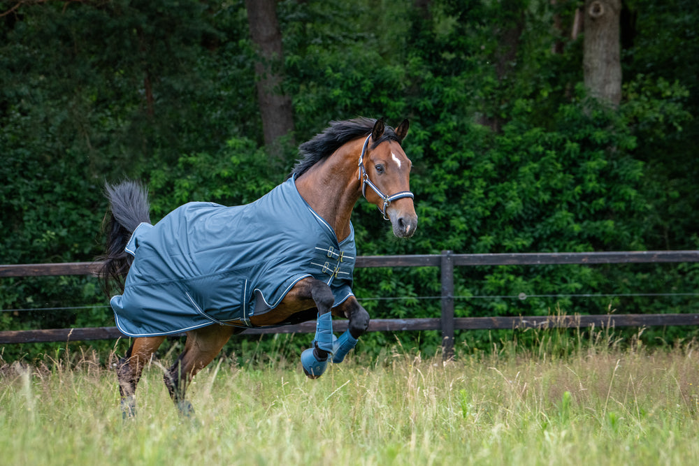 ESKADRON WATERPROOF LIGHT PADDOOR RUG FOR HORSE CLASSIC SPORTS