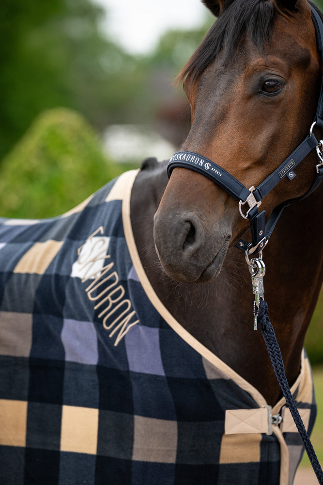 ESKADRON SPARKLE DOUBLE PIN KANTAR DLA KONIA CLASSIC SPORTS