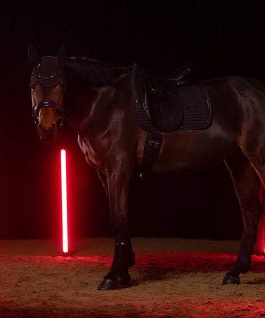 ESKADRON DYNAIR MESH SPORT HORSE FLY HOOD DYNAMIC