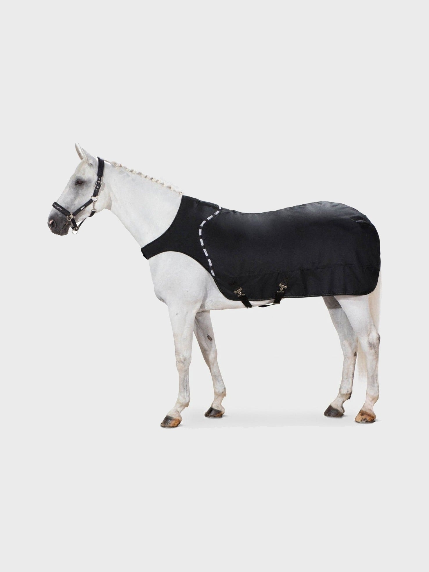 ESKADRON DERKA DELTA WALKER - SYSTEM Z PODSZYCIEM POLAROWYM - Eskadron Equishop