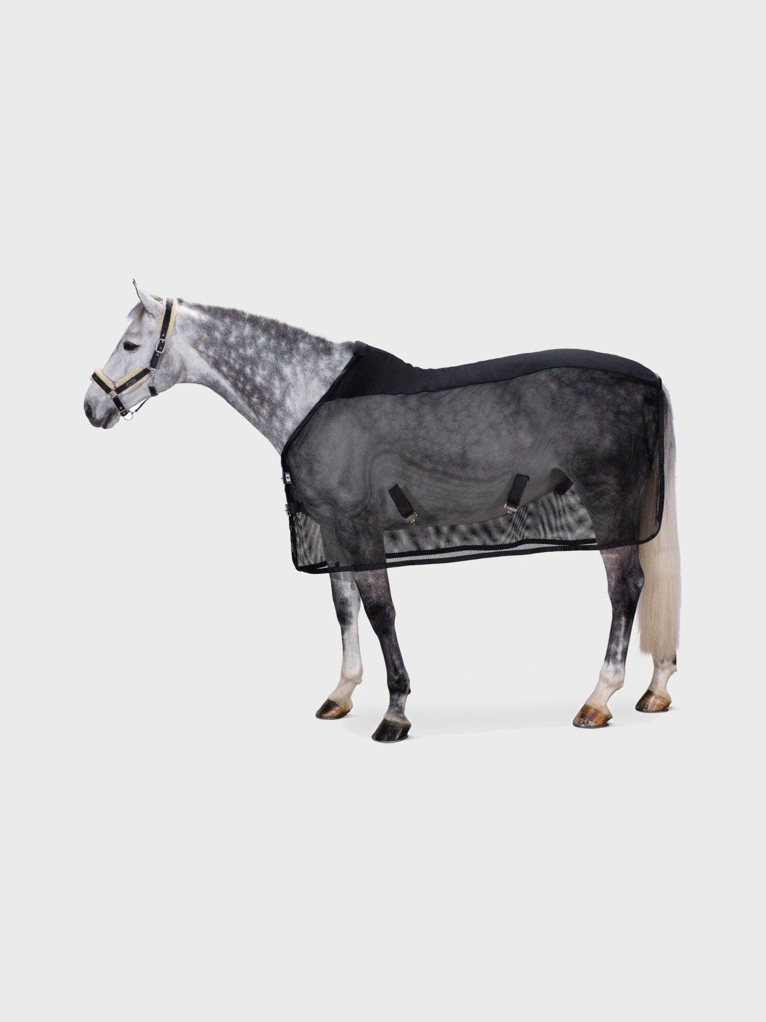 ESKADRON DERKA PRZECIWOWADOWA DURA PRO COVER - Eskadron Equishop