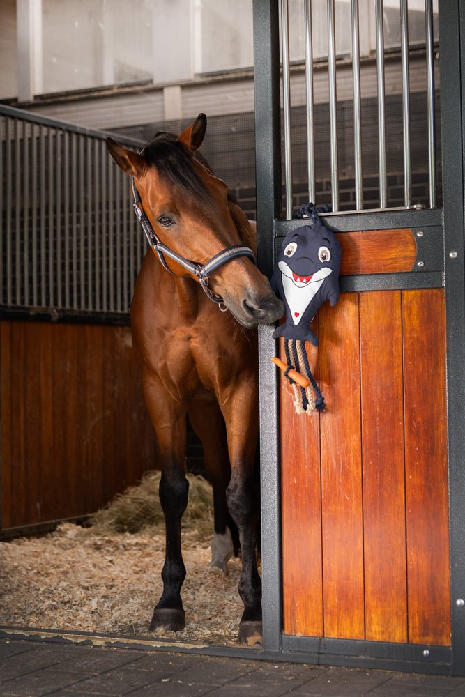 ESKADRON DOLPHIN ZABAWKA DLA KONIA DELFIN CLASSIC SPORTS - Eskadron Equishop