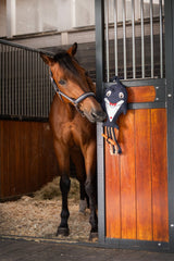 ESKADRON DOLPHIN ZABAWKA DLA KONIA DELFIN CLASSIC SPORTS - Eskadron Equishop