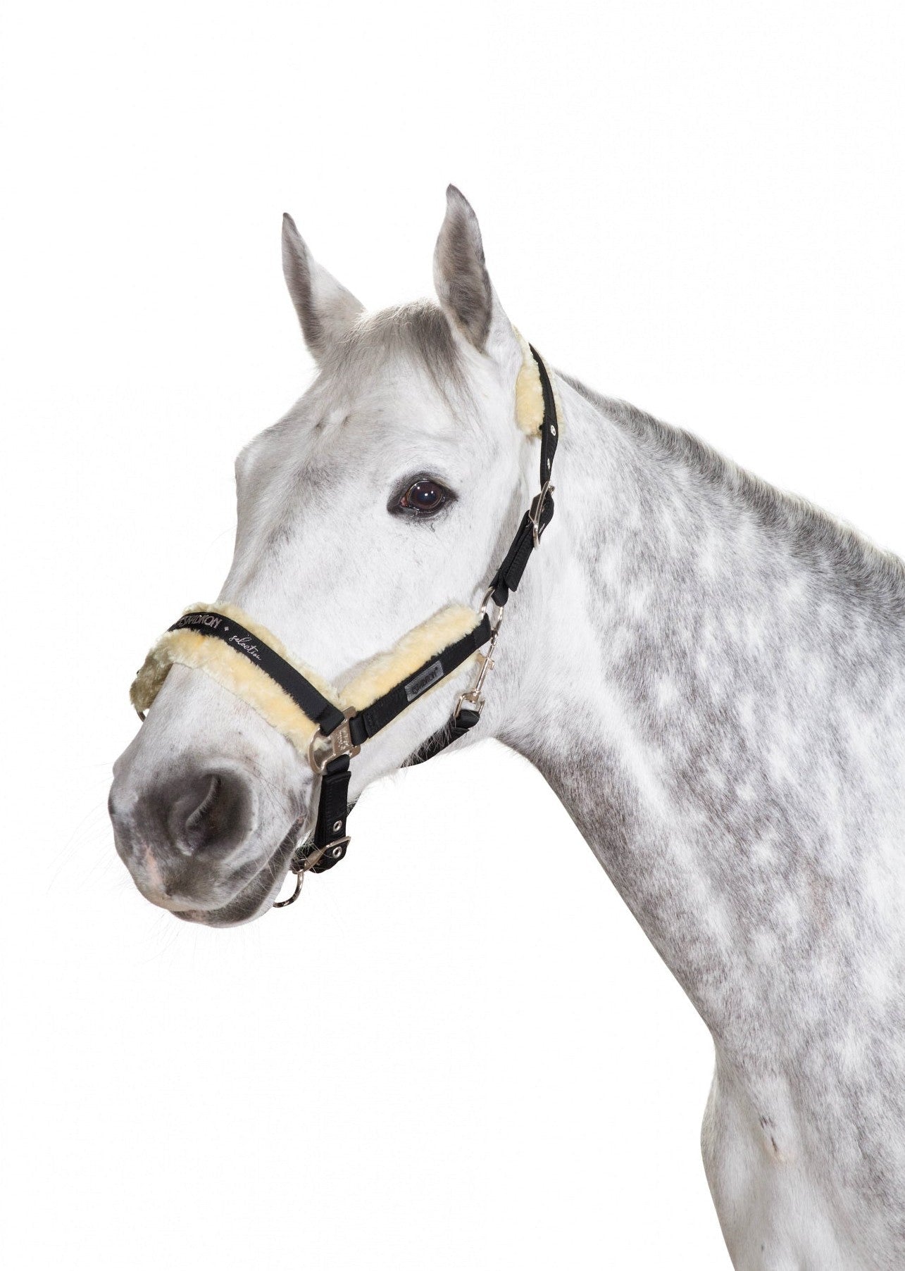 ESKADRON KANTAR FAUXFUR NA KLAMRĘ - Eskadron Equishop