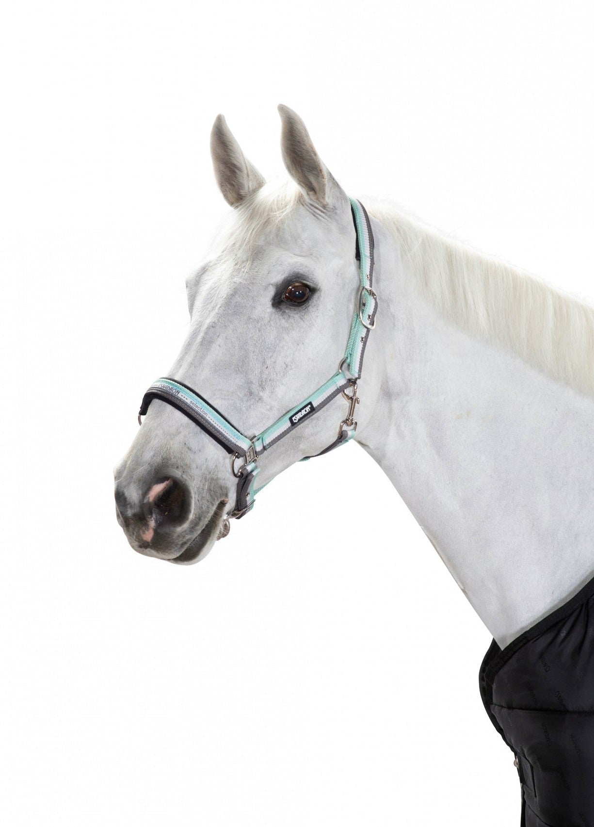 ESKADRON KANTAR NA KLAMRĘ - Eskadron Equishop