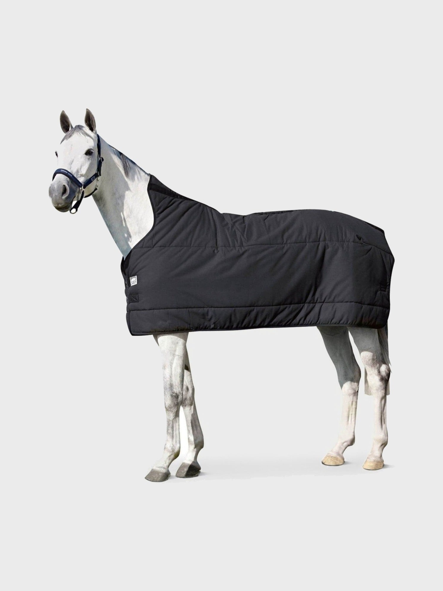 ESKADRON PODDERKA DLA KONIA 240G - Eskadron Equishop