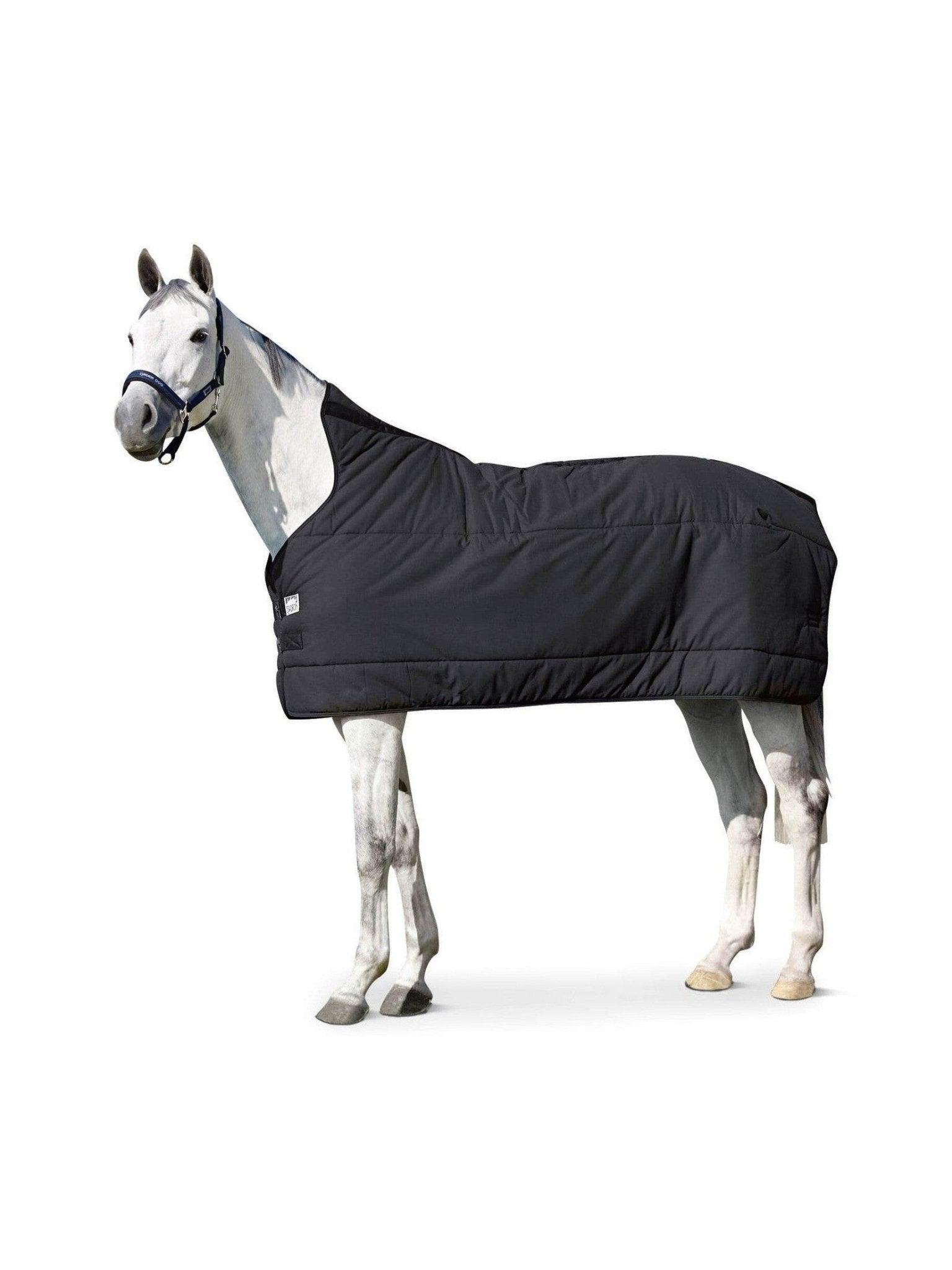ESKADRON PODDERKA DLA KONIA 240G - Eskadron Equishop