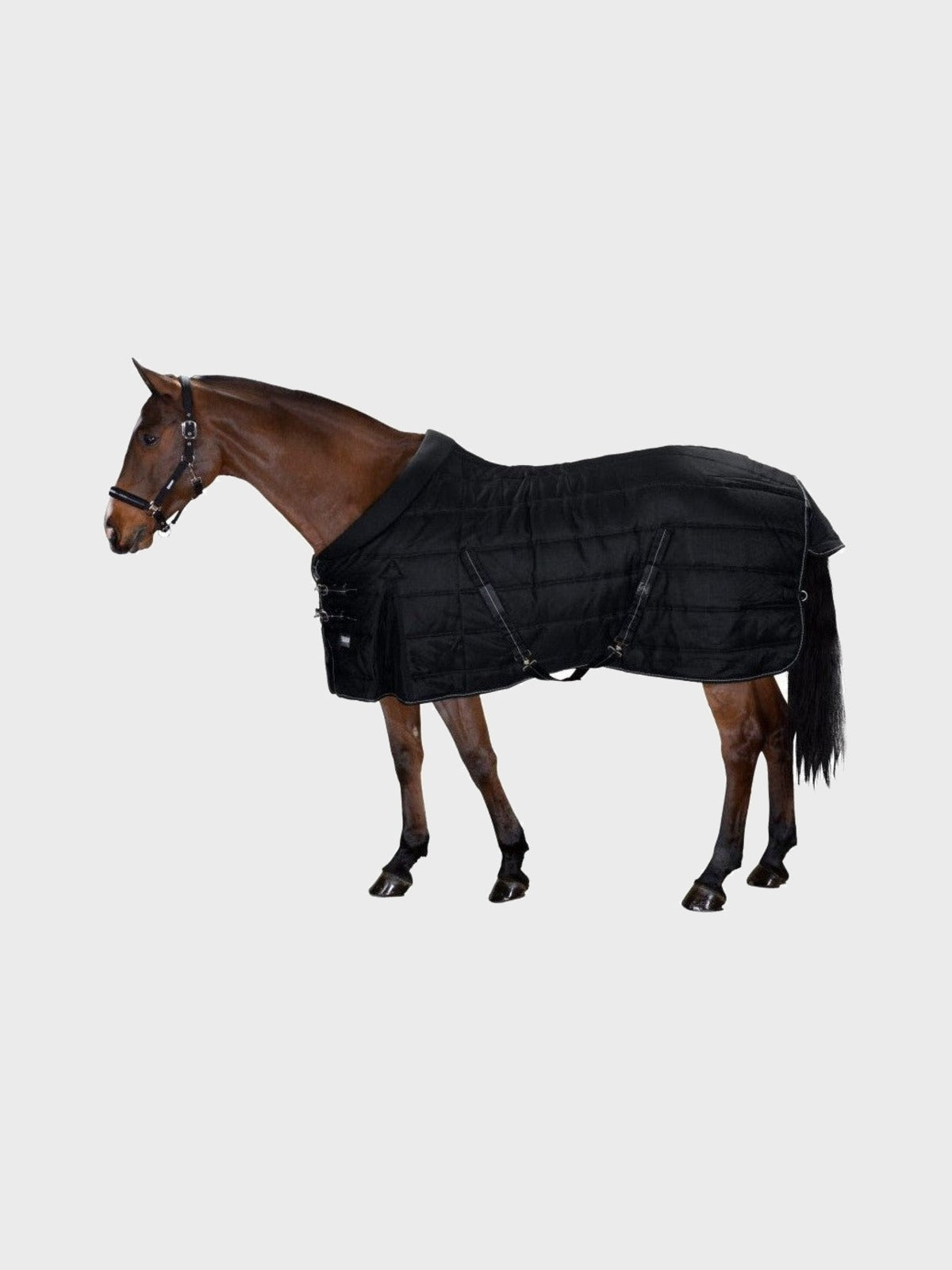 ESKADRON SIGMA STABLE 220 DERKA STAJENNA - Eskadron Equishop