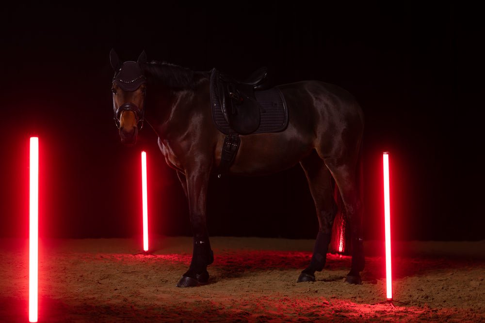 ESKADRON SPARKLE CRYSTAL CZAPRAK JEŹDZIECKI DYNAMIC - Eskadron Equishop