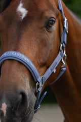 ESKADRON SPARKLE DOUBLE PIN KANTAR DLA KONIA CLASSIC SPORTS - Eskadron Equishop