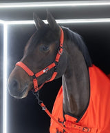 ESKADRON SPARKLE DOUBLE PIN KANTAR DLA KONIA DYNAMIC - Eskadron Equishop