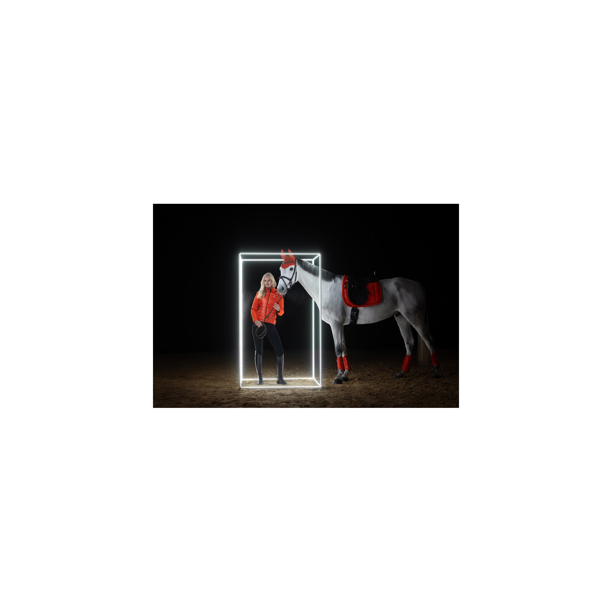 ESKADRON JEWEL NAUSZNIKI DLA KONIA DYNAMIC