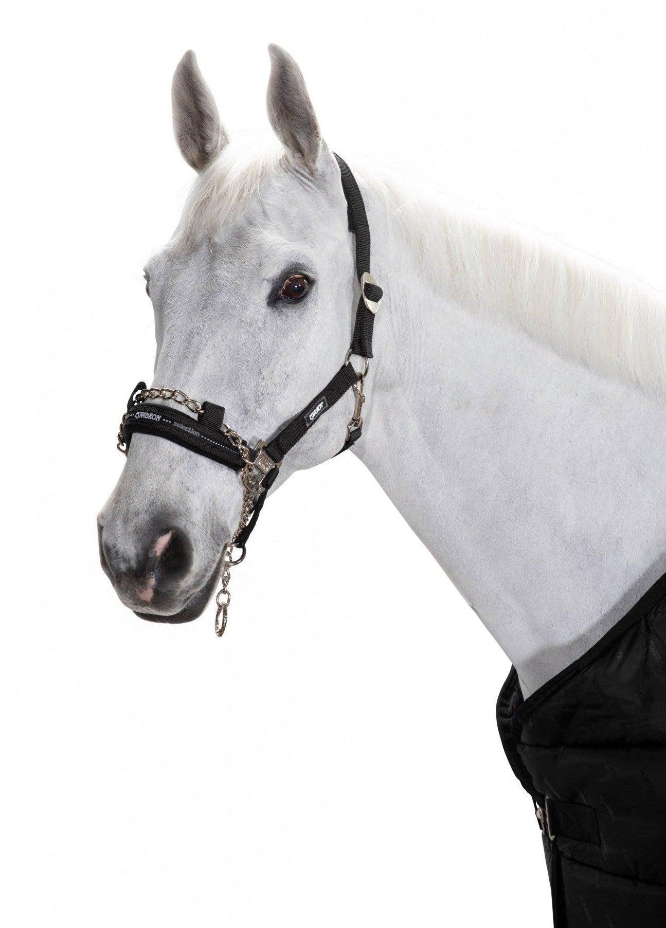 ESKADRON CONTROL SLIDING BUCKLE HEADCOLLAR