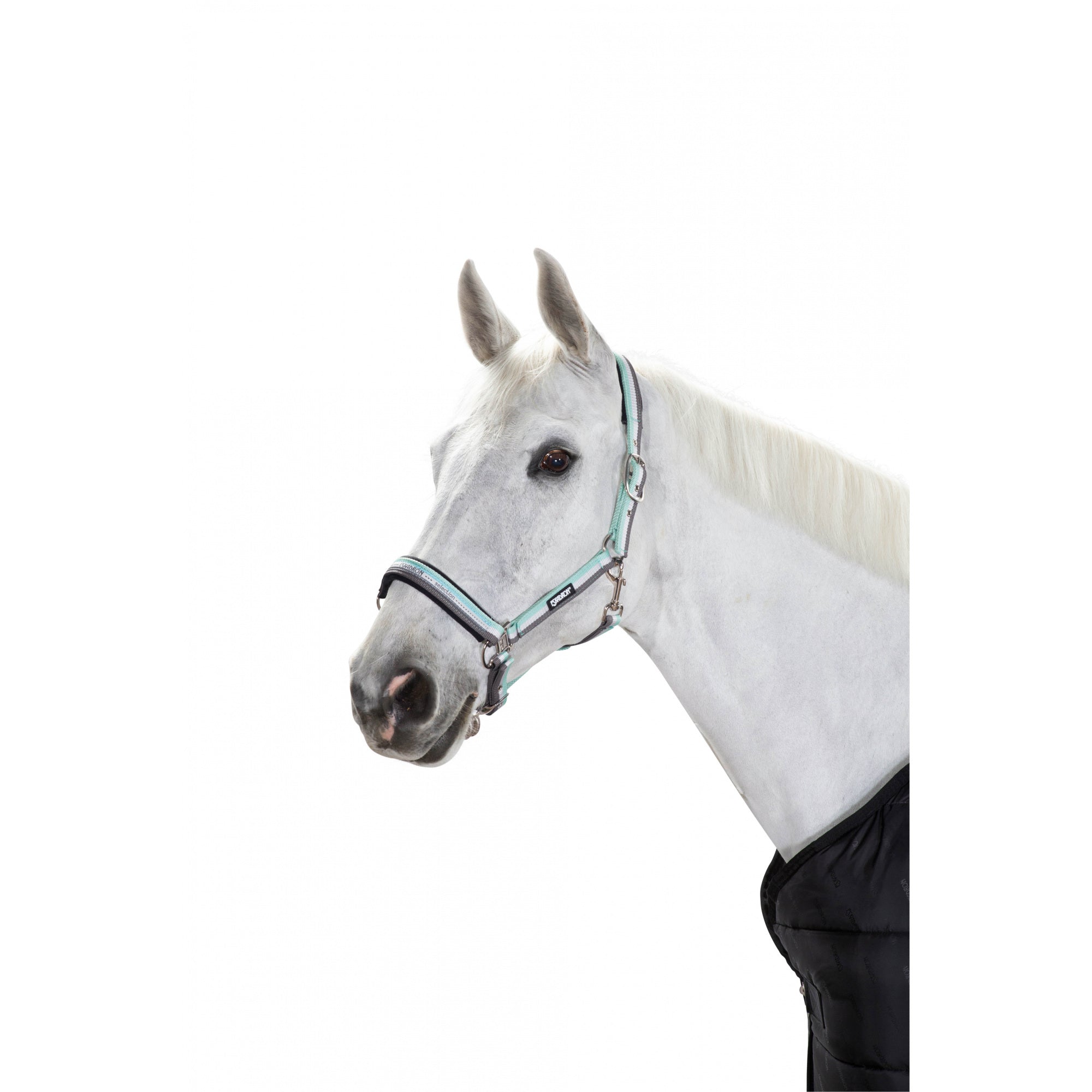 ESKADRON KANTAR NA KLAMRĘ