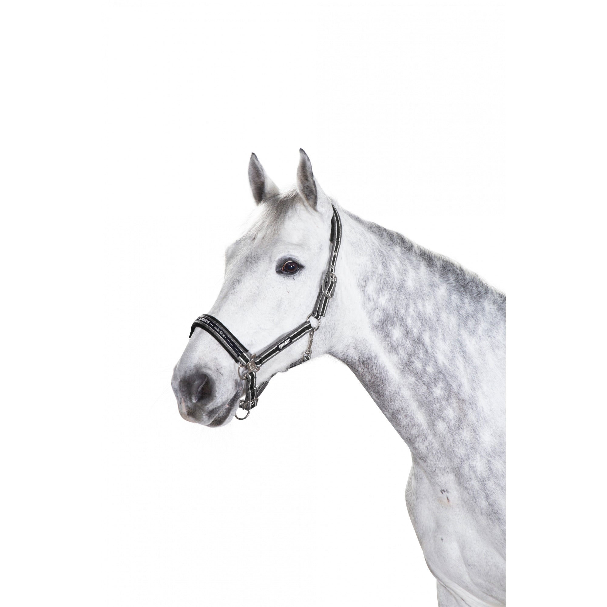 ESKADRON KANTAR NA KLAMRĘ