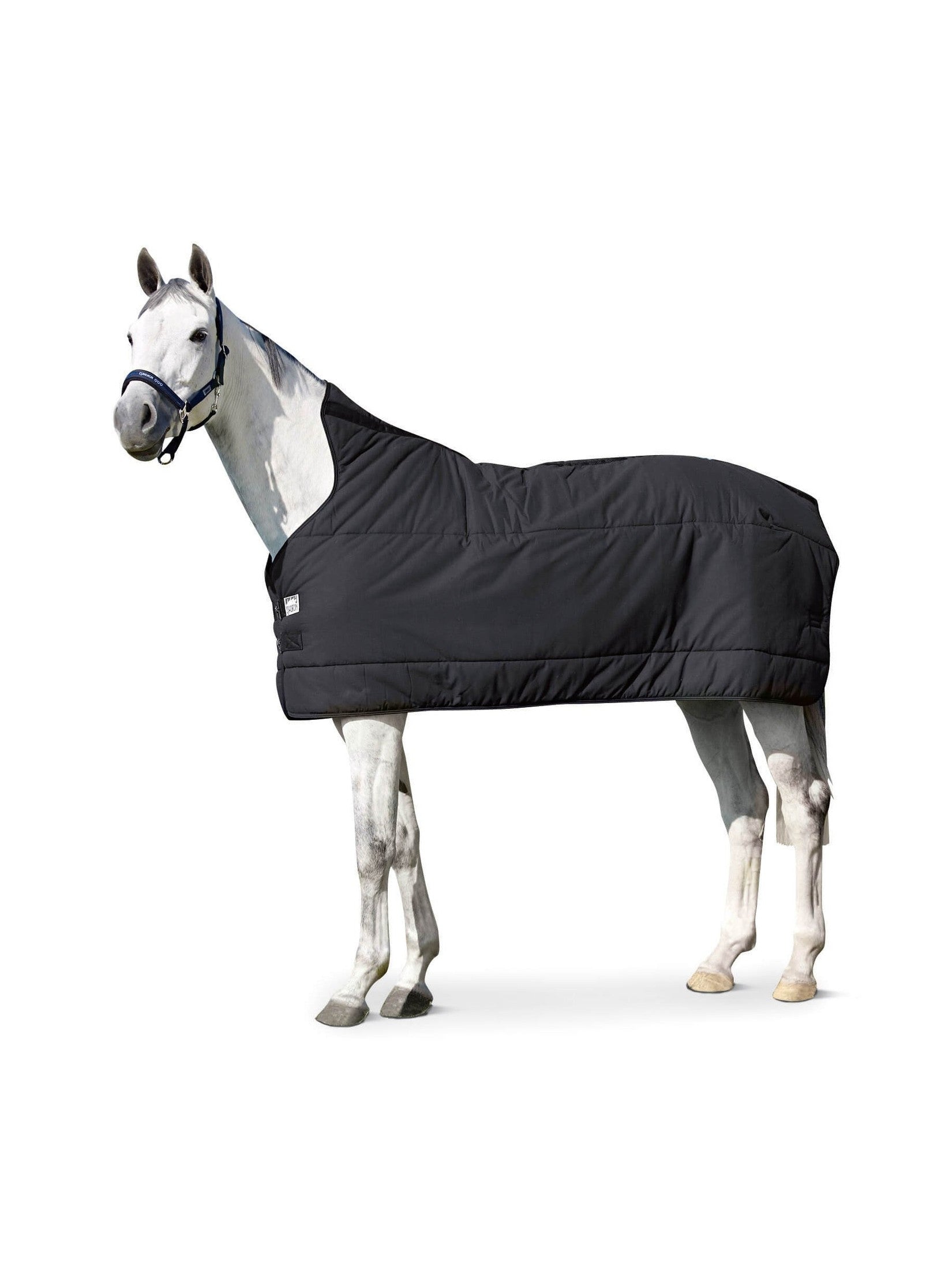 ESKADRON PODDERKA DLA KONIA 240G