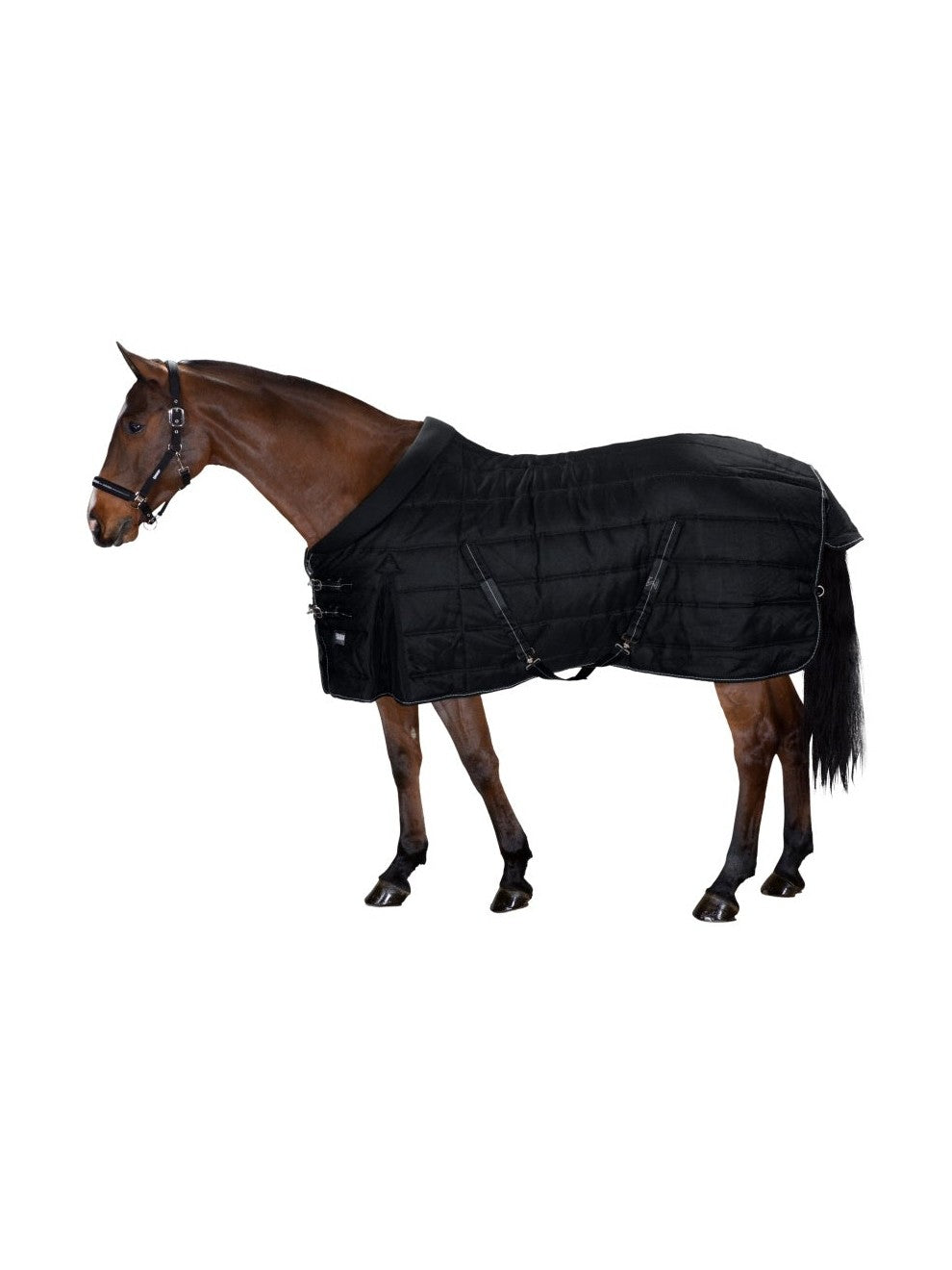 ESKADRON SIGMA STABLE 220 DERKA STAJENNA