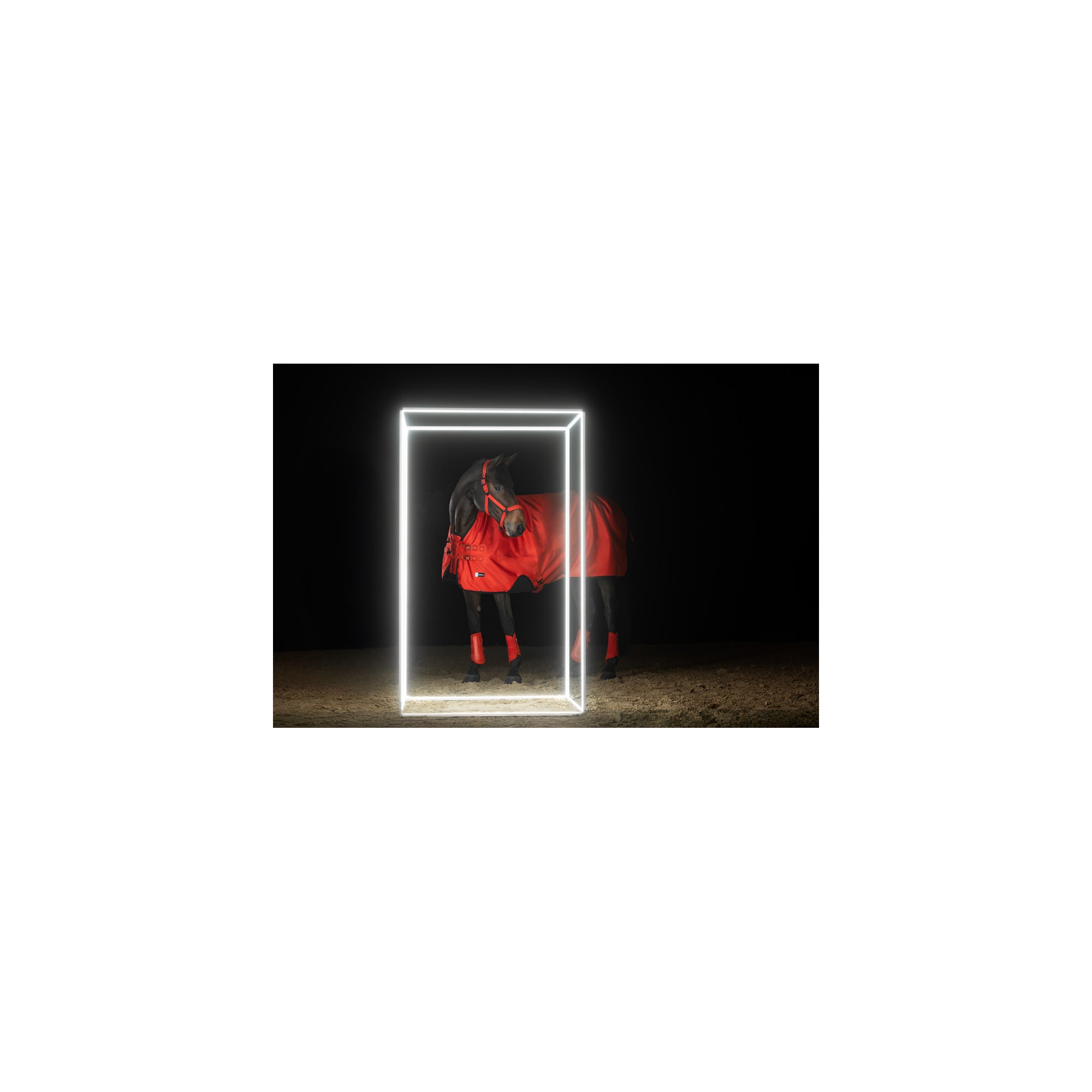 ESKADRON SPARKLE DOUBLE PIN KANTAR DLA KONIA DYNAMIC