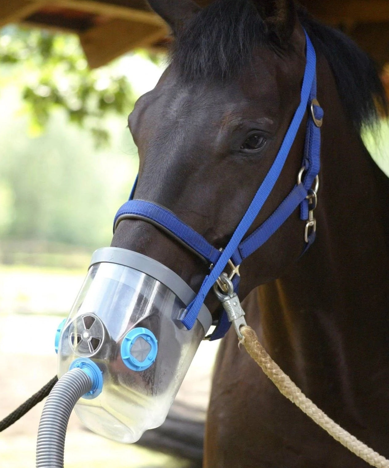 HIPPOMED AIRONE SIECIOWY INHALATOR DLA KONI Z MASKĄ