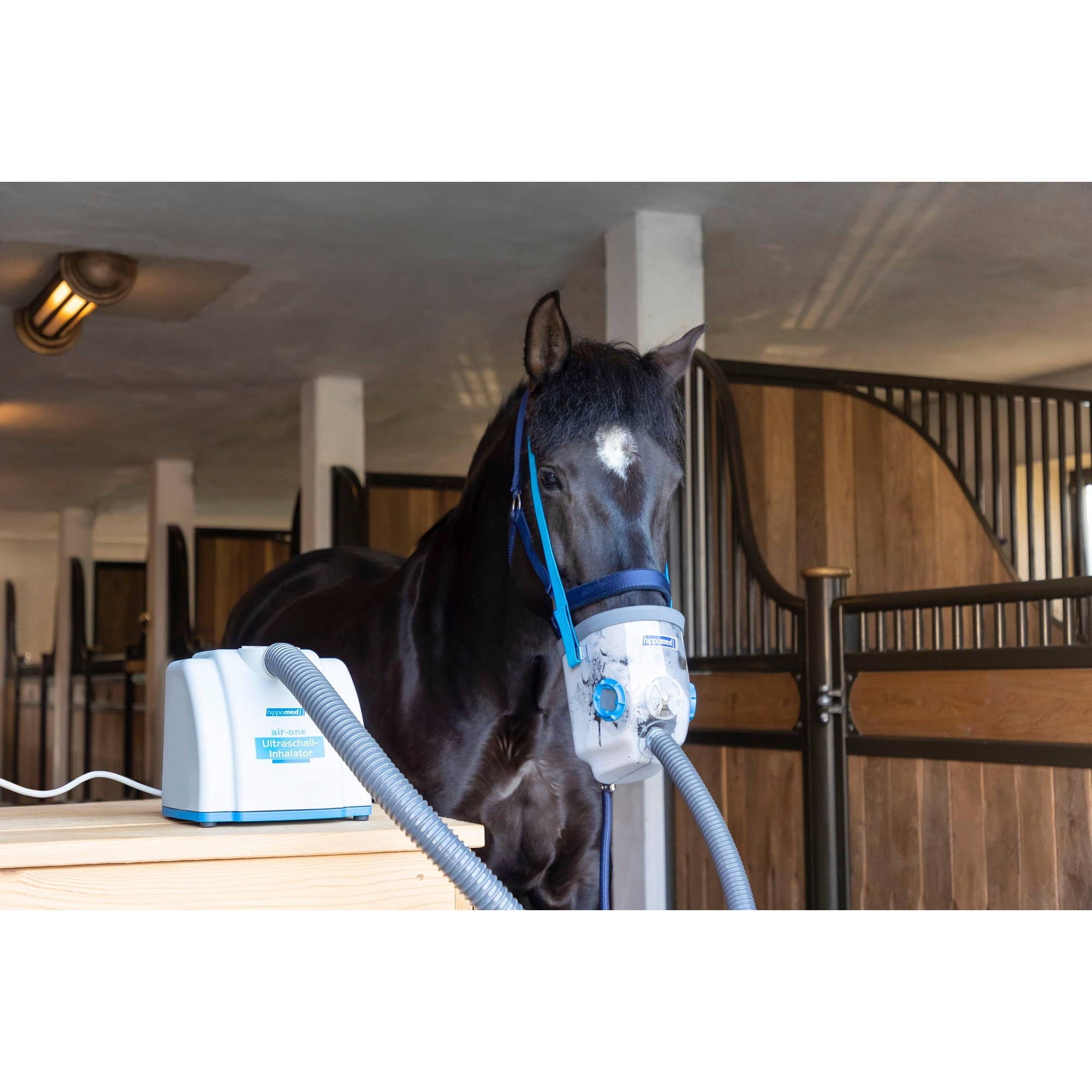 HIPPOMED AIRONE SIECIOWY INHALATOR DLA KONI Z MASKĄ