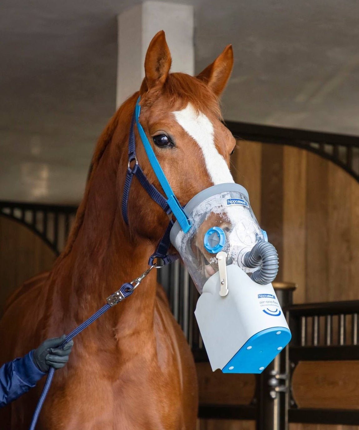 HIPPOMED AIRONE FLEX BEZPRZEWODOWY INHALATOR DLA KONI Z MASKĄ - HIPPOMED Equishop