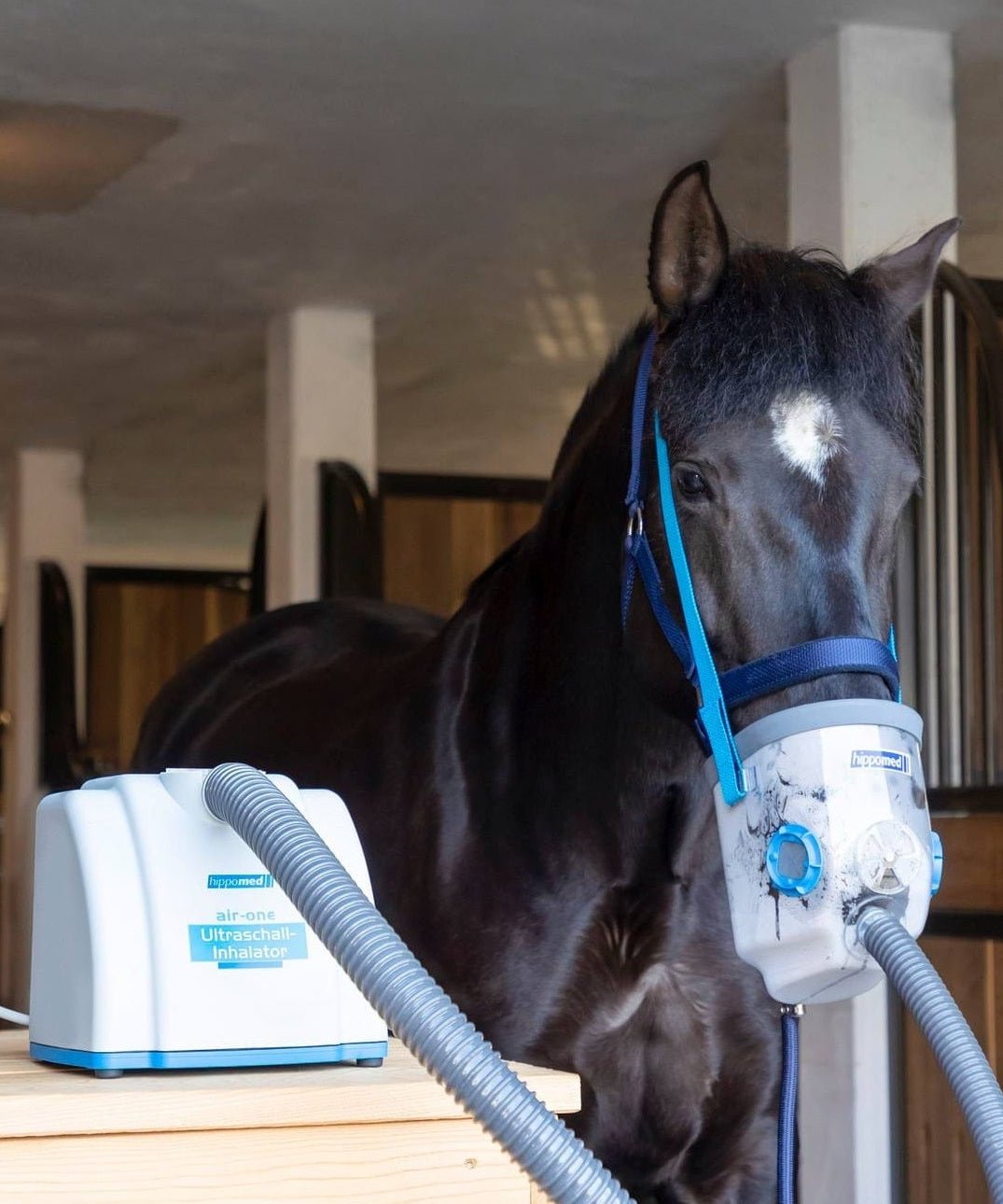 HIPPOMED AIRONE SIECIOWY INHALATOR DLA KONI Z MASKĄ - HIPPOMED Equishop