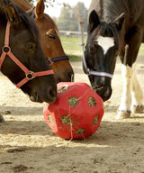 KERBL PIŁKA DO ZABAWY DLA KONIA HEUBOY 40 CM - KERBL Equishop