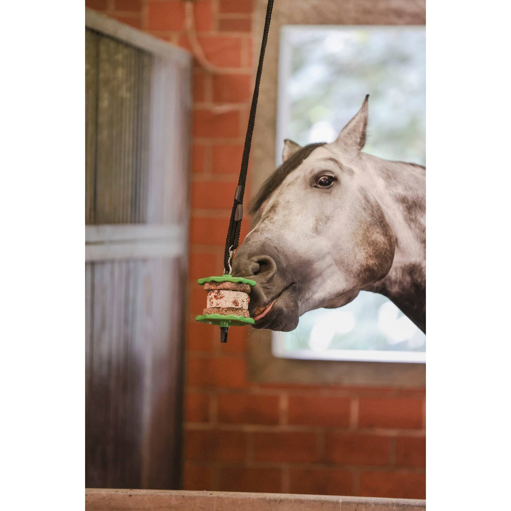 KERBL PRZYSMAK DLA KONIA DELIZIA SANDWICH MARCHEWKOWA 195 G