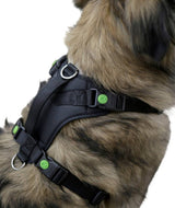 KERBL SZELKI DLA PSA PULSIVE CZARNE Z ODBLASKAMI 56-74 CM