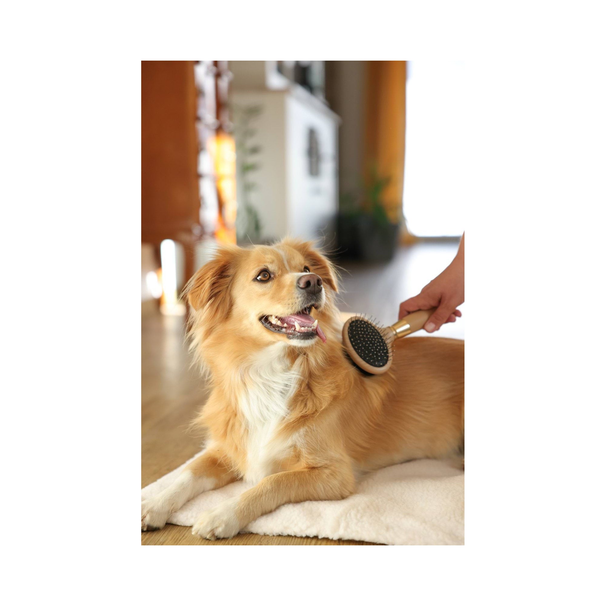 MAGIC BRUSH DOUBLE-SIDED DESHEDDING BRUSH 20 CM