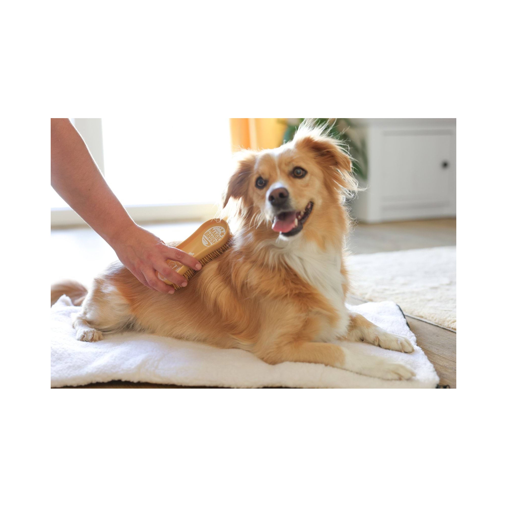 MAGIC BRUSH SZCZOTKA DLA PSA MIĘKKA SANDSTORM