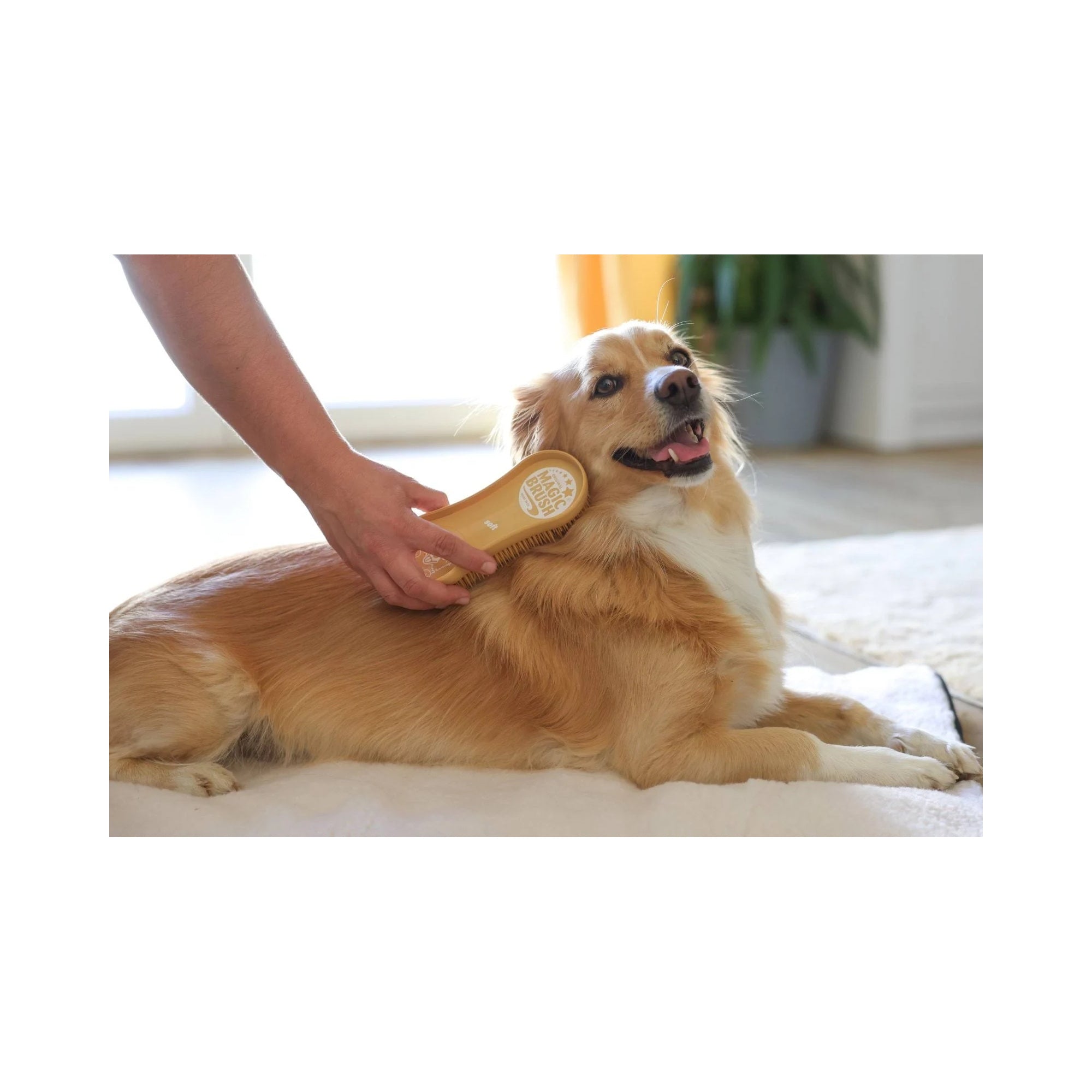 MAGIC BRUSH SZCZOTKA DLA PSA MIĘKKA SANDSTORM